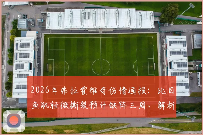 2026年弗拉霍维奇伤情通报：比目鱼肌轻微撕裂预计缺阵三周，解析尤文锋线应对方案