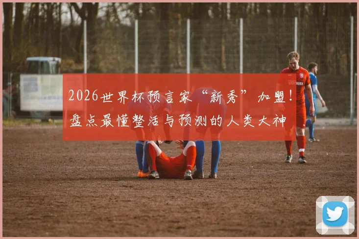 2026世界杯预言家“新秀”加盟!盘点最懂整活与预测的人类大神